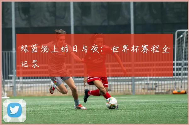 绿茵场上的日与夜：世界杯赛程全记录