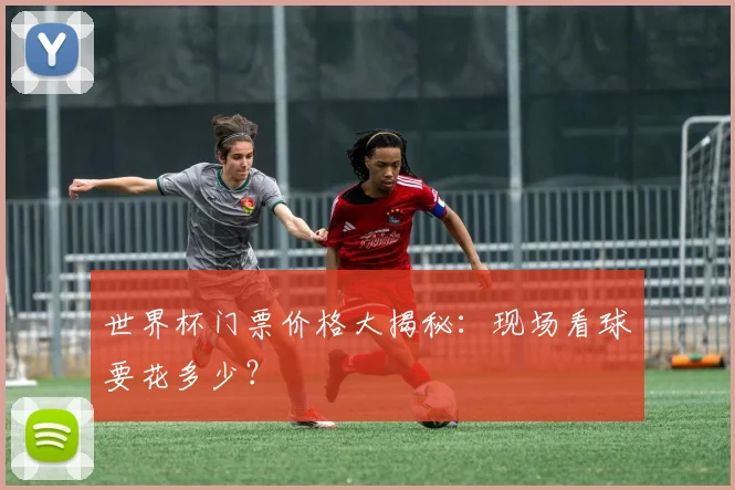 世界杯门票价格大揭秘：现场看球要花多少？