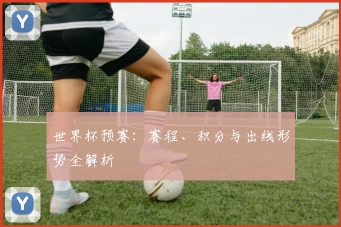 世界杯预赛：赛程、积分与出线形势全解析