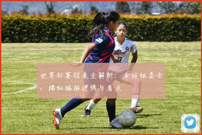 世界杯赛程表全解析：专访组委会，揭秘编排逻辑与看点